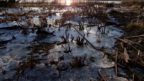 a thin layer of ice on the coast illuminated by evening sunlight