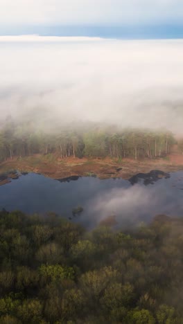 misty forest landscape with pond from above