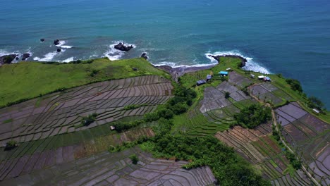 panorama of countryside fields, rocky shoreline, and blue sea in summer