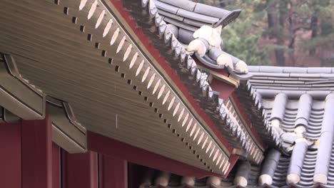 Palacio-Coreano-Después-De-La-Lluvia