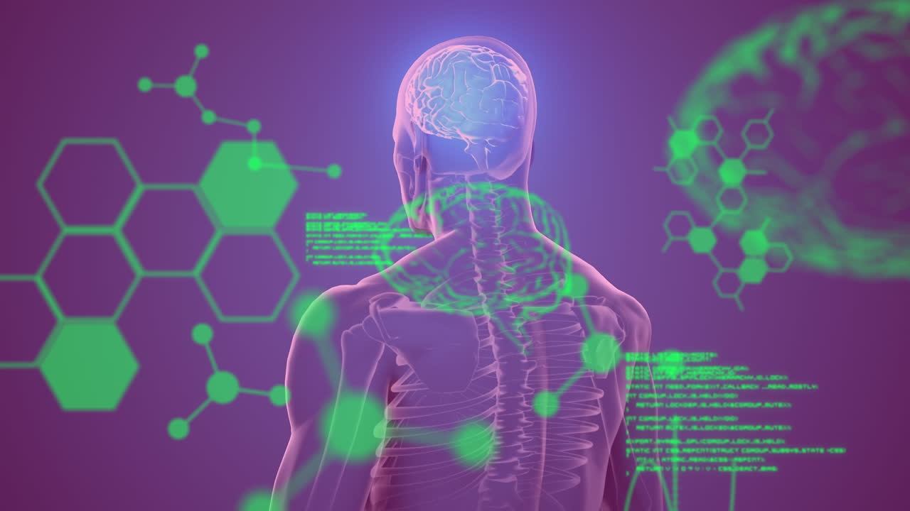 animación de fórmulas químicas y procesamiento de datos sobre el cuerpo humano en rotación