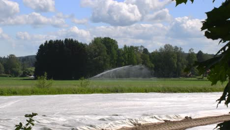 Agua-De-Lavado-Con-Rociadores-En-El-Campo-Y-Pastos-Jóvenes-En-La-Vista-Clásica-De-La-Agricultura