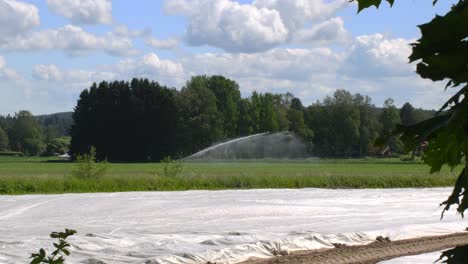 rociador de agua en el campo y pastos jóvenes en la vista clásica de la agricultura