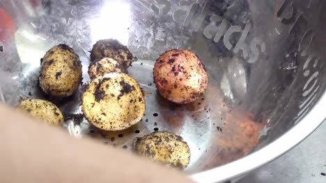mano humana preparando un surtido sucio de patatas de cosecha propia en el colador de la cocina