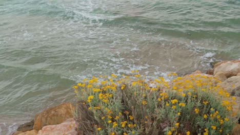 stunning video of waves on a rocky beach in spain