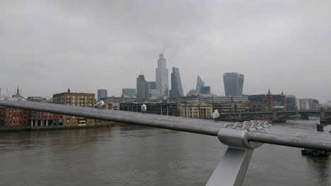 Ciudad-De-Londres,-Vista-Desde-El-Puente-Del-Milenio-Con-Gaviotas-Sentadas-En-El-Puente