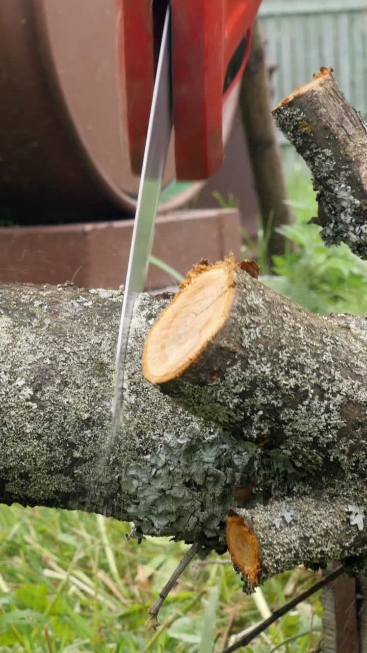 Cutting a tree branch with a chainsaw
