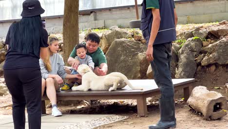 family interacting with a white lion cub at the zoo