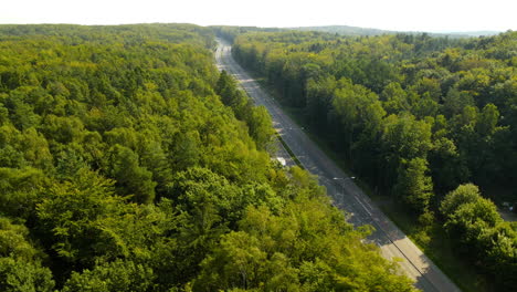 carretera de hormigón que conduce a la ciudad de gdynia entre el denso paisaje forestal de witomino polonia - toma aérea