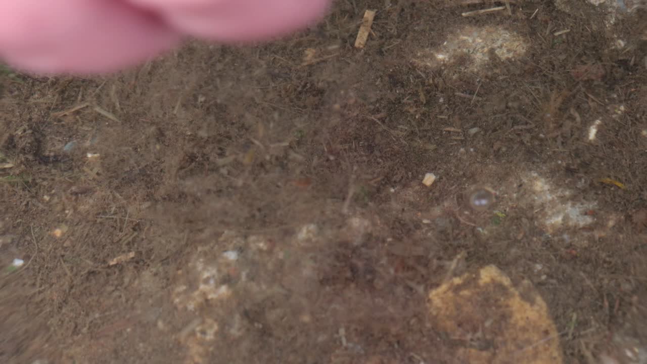 Mano maschile che raccoglie un lombrico dall'acqua di una pozzanghera per la pesca.