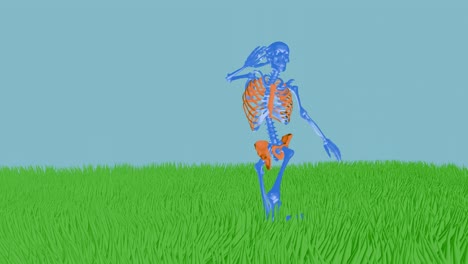 skelett-tanz, samba-tanz.