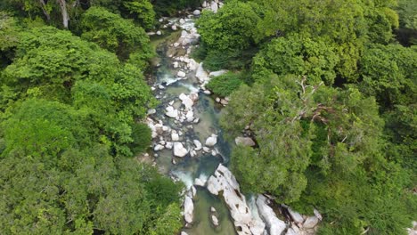 dense rainforest and fast flowing water in rocky river santa marta, magdalena, colombia, aerial view