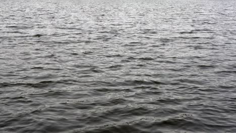 La-Belleza-De-Las-Pequeñas-Olas-En-Un-Lago-Durante-El-Día