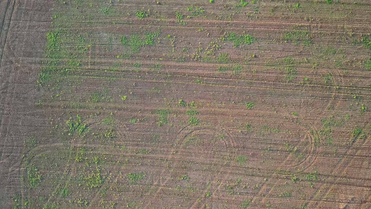 Drone footage showing cropmarks and precision tilling patterns in a cultivated field near Hemingfield, South Yorkshire, with signs of winter wheat or oilseed rape growth