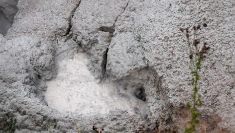 In-Zeitlupe-Sprudelt-Ein-Geothermaler-Schlammtopf-Aus-Einem-Felsen