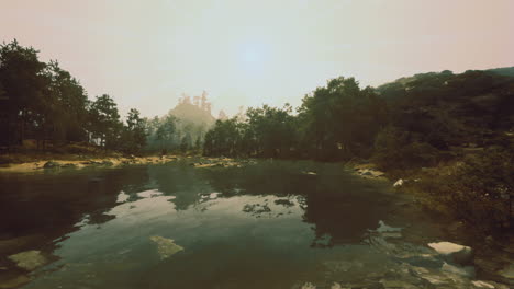nature reflects serenity at tranquil pond in a lush forest setting