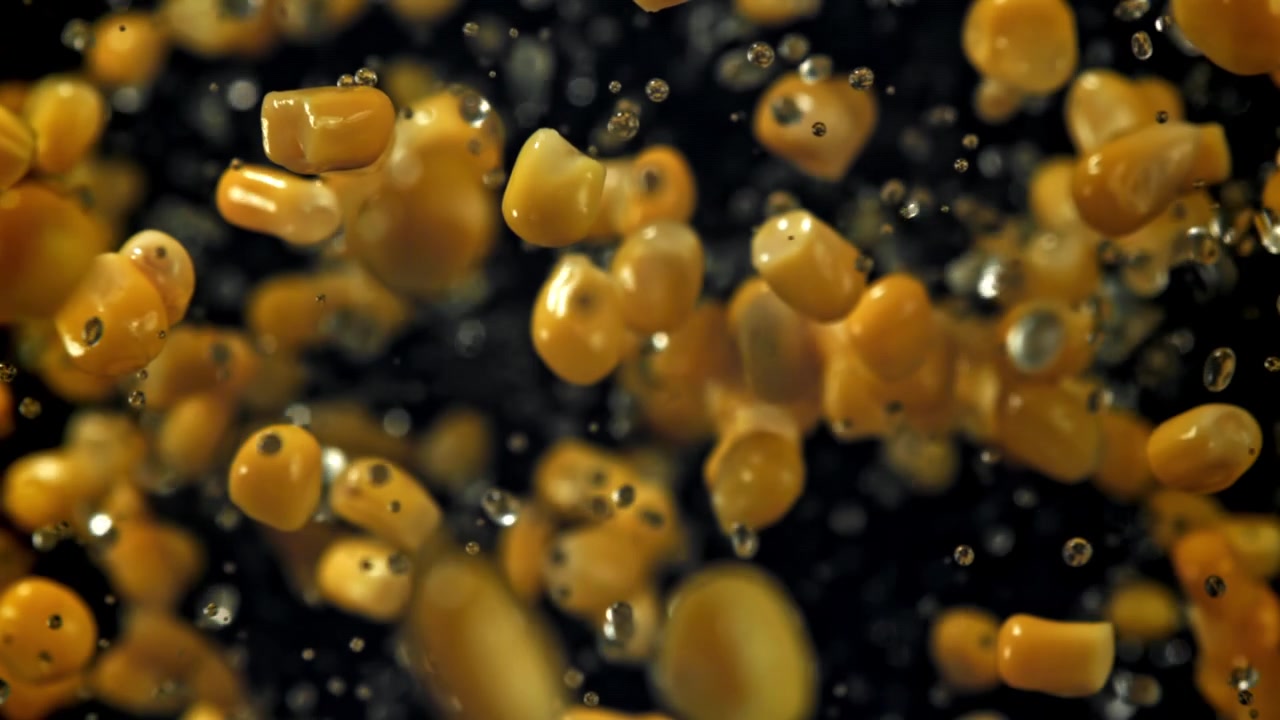 Chicchi di mais dorati e gocce d'acqua che fluttuano al rallentatore