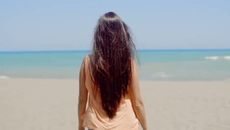 해변 에서 긴 머리카락 을 가진 여자 의 뒤쪽 광경