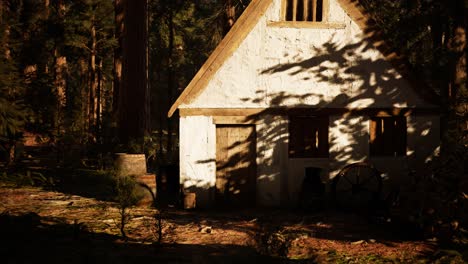 old wooden house in the autumn forest