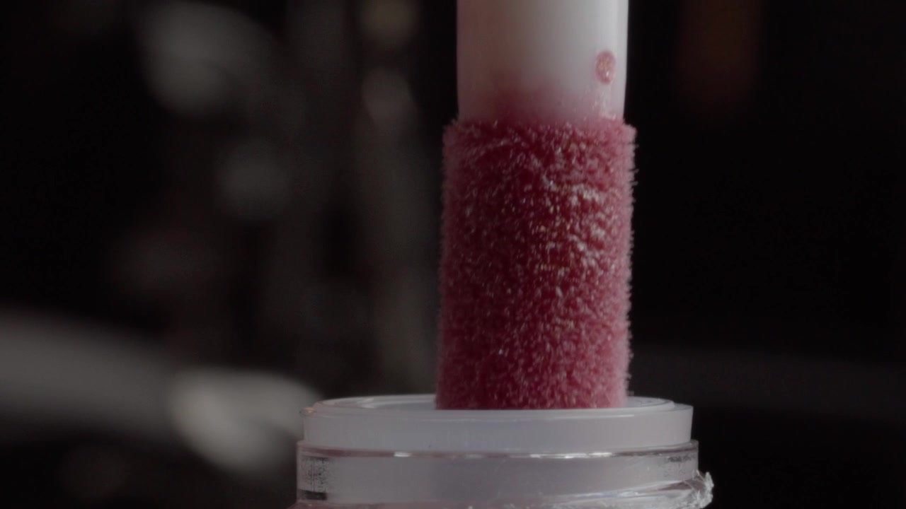 Primo piano macro di un applicatore di lucidalabbra che si solleva da un contenitore cosmetico. L'applicatore morbido emerge rivestito di prodotto make-up lucido durante l'applicazione di bellezza.