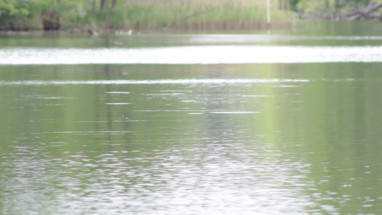 Flowting water on a lake