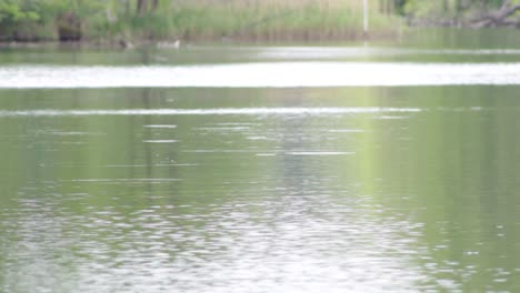 flowting water on a lake