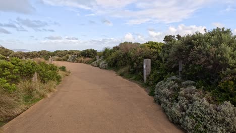 pathway surrounded by lush greenery and sky