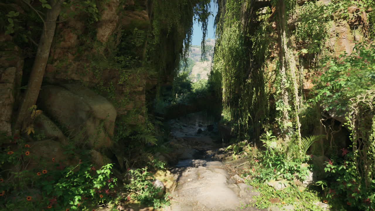 camino de la selva exuberante con arroyo