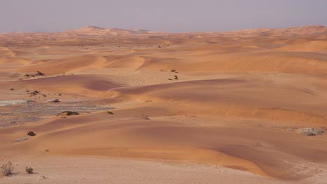 toma de establecimiento del desierto de namib y las dunas