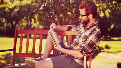 in high quality 4k format handsome hipster reading in the park