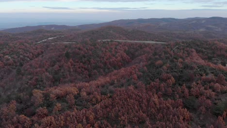 Antenne-über-Herbstfarbe-Waldlaub-Rote-Blätter-Orange-Sonnenuntergang-Wintertag