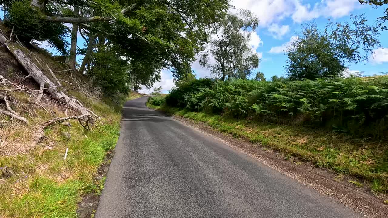 A vehicle travels a winding, tree-lined rural road under bright daylight in Clova, Angus, Scotland, with lush greenery and distant hills visible