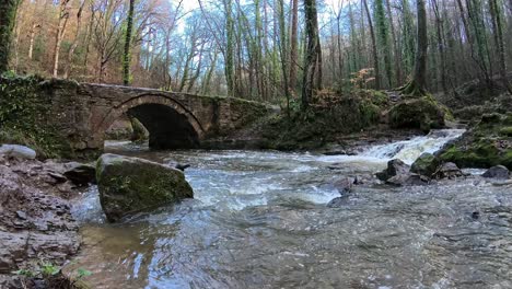 river flowing from small woodland waterfall under stone rustic footbridge in autumn forest slow motion