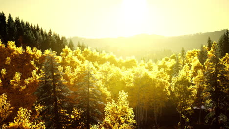 bright sunset in the mountains