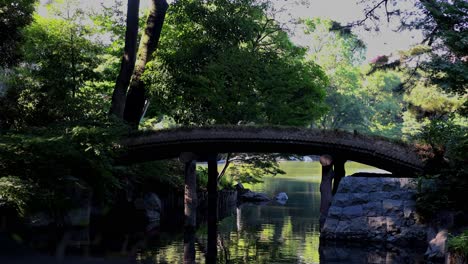 the beautiful view in rikugien gardens