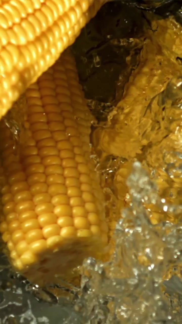 Fresh Corn on the Cob Being Washed with Splashing Water