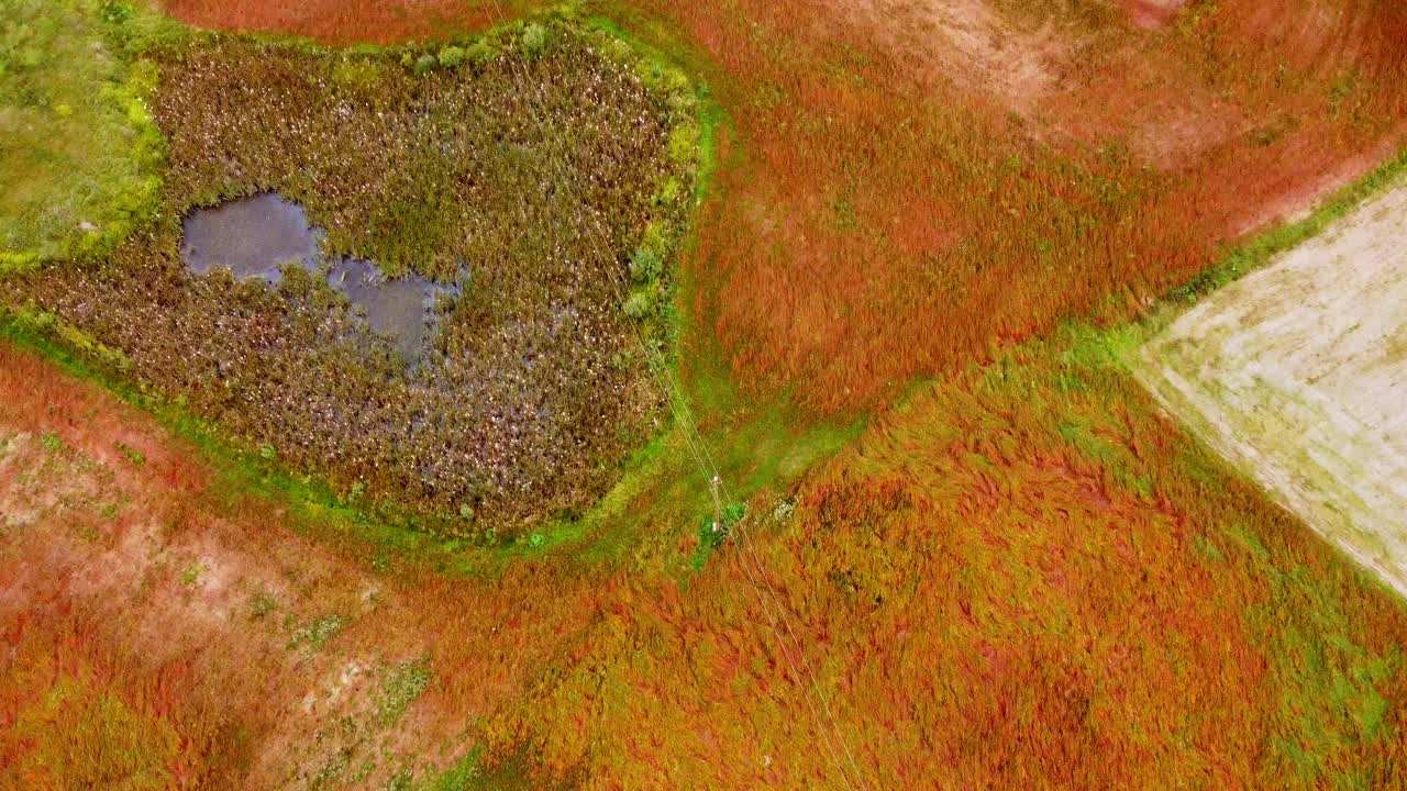 Aerial View of Autumnal Marshland and Fields