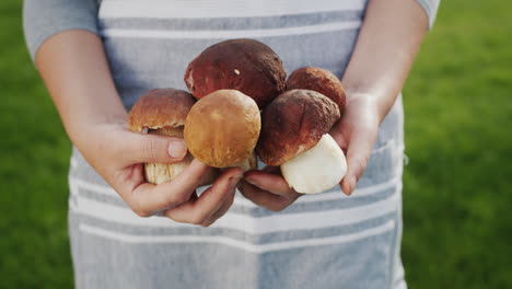 Woman-holding-boletus-mushrooms-in-hands