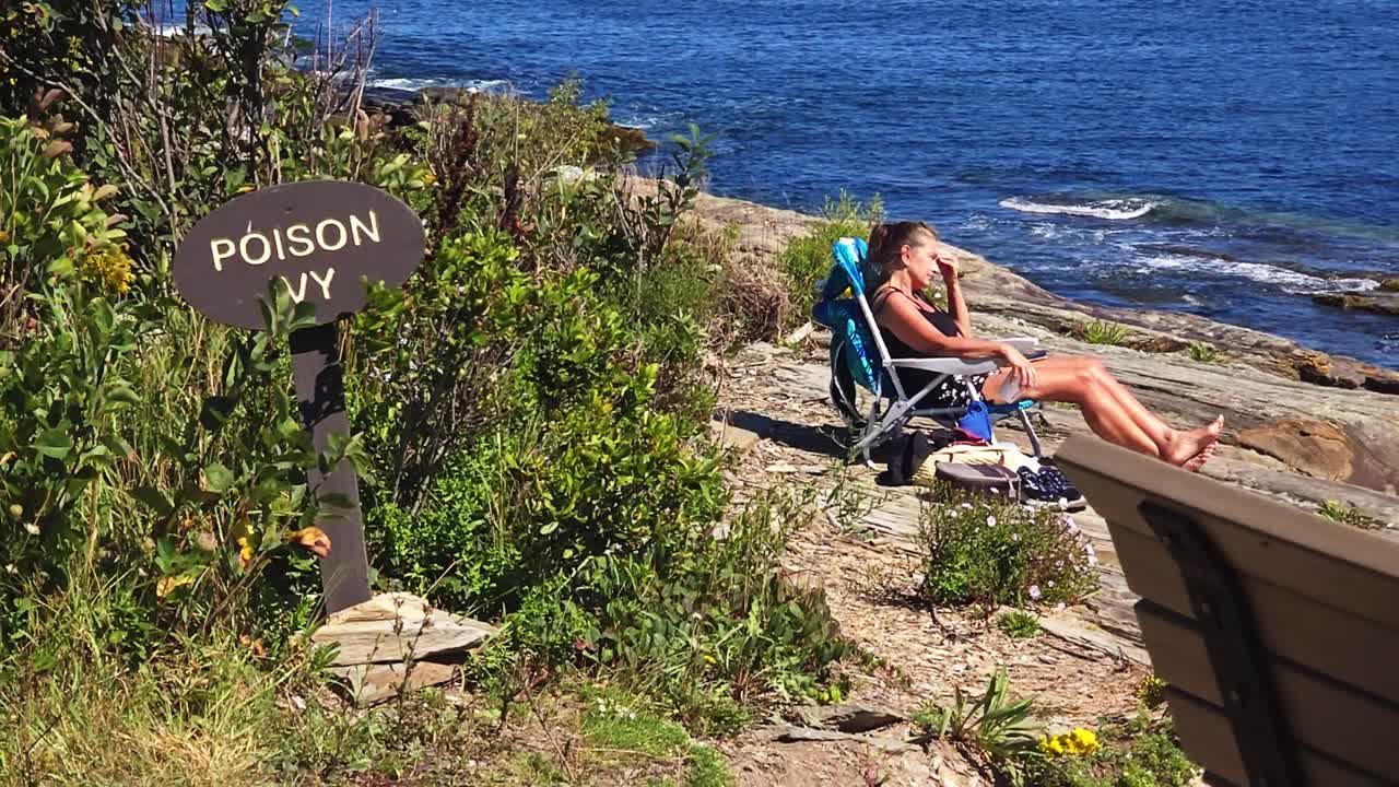 A woman suns herself near Poison Ivy at Two Lights State park
