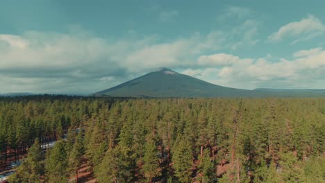 4k 空中大山与常青森林在前景无人机娃娃在