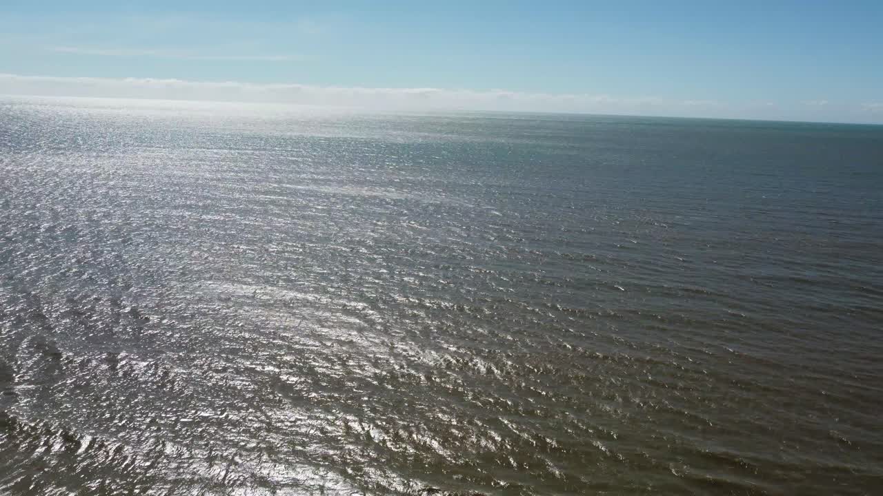 Drone ascending over palm trees on a tropical sandy beach showing the Pacific Ocean in Australia
