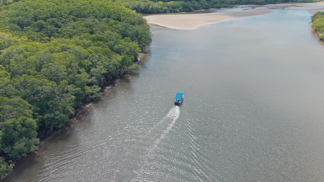 A small blue-roofed boat sails along the muddy river surrounded by dense mangrove forest in Tamarindo.