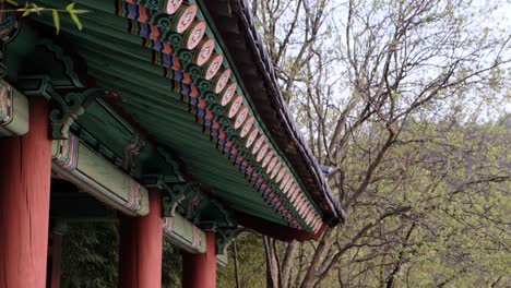 a view to an old palace in south korea in slow motion with a forest in the background