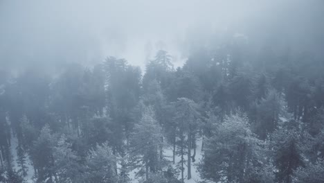 Montañas-Nevadas-Y-Bosques-De-Pinos-En-El-Mediterráneo