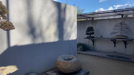 awesome different kind of japanese bonsai's exposed in outdoor garden in madrid, spain