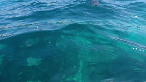 Soothing-clear-blue-ocean-waters-reveal-large-boulders-and-sand-below