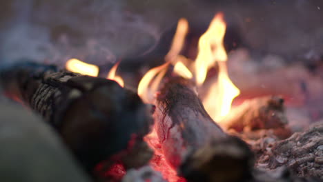 campfire flames in slow motion