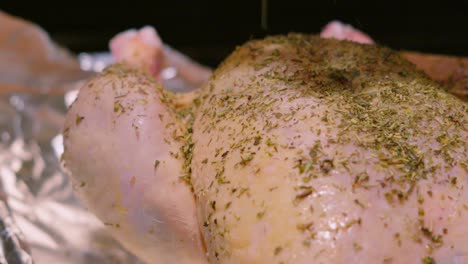 Slow Pushing Shot Towards Raw Whole Free Range Chicken with Seasoning Being Dropped on Top for Extra Flavour in Slow Motion Ready for Roasting in Oven After Preparation. Cooking Food Footage 4K.