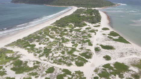 Trees-And-Bushes-Growing-On-White-Sand-Beach-Near-Mount-Yacaaba---Hawks-Nest,-NSW,-Australia