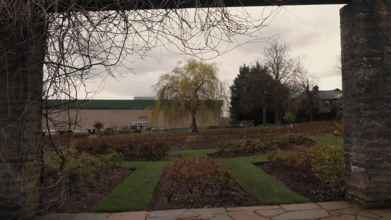 돌 터널 보더를 드러내기 위해 큰 나무에서 멀어지는 대칭 샷